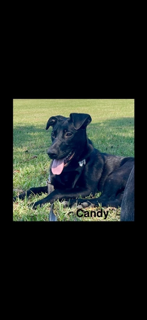 Candy 3