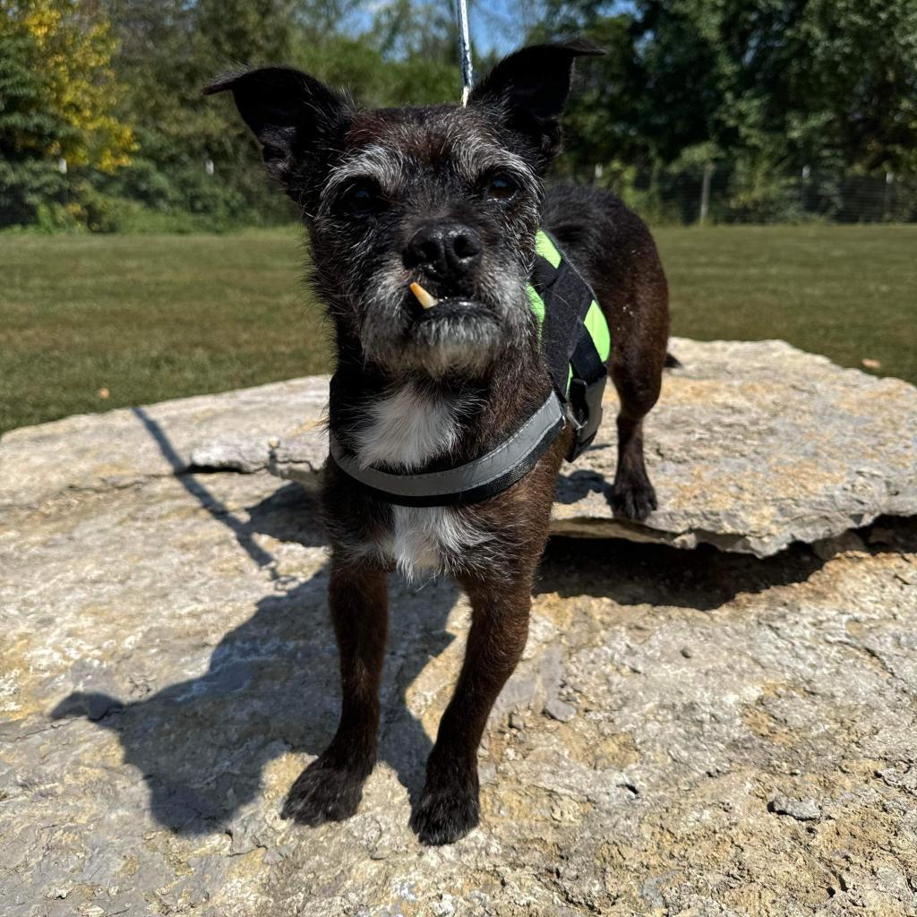 Sputnik