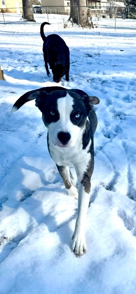 Luna