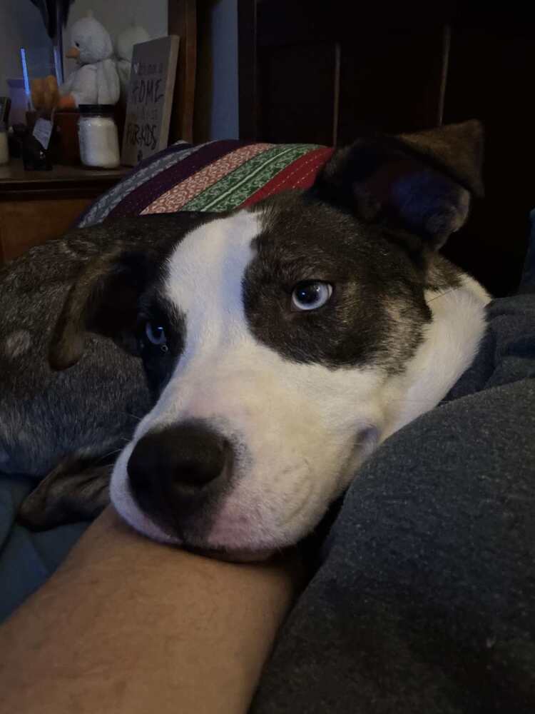 Luna