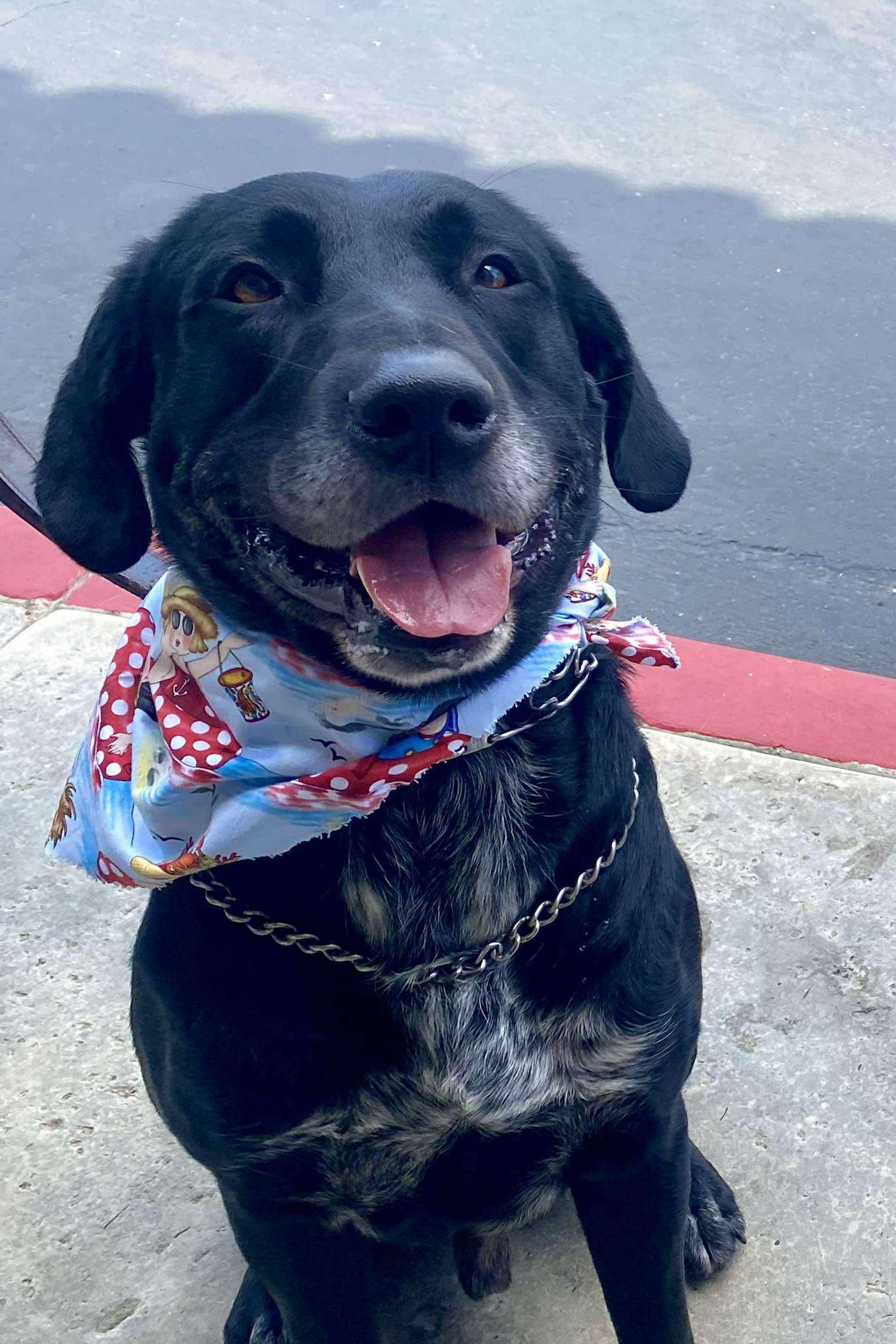 Huckleberry