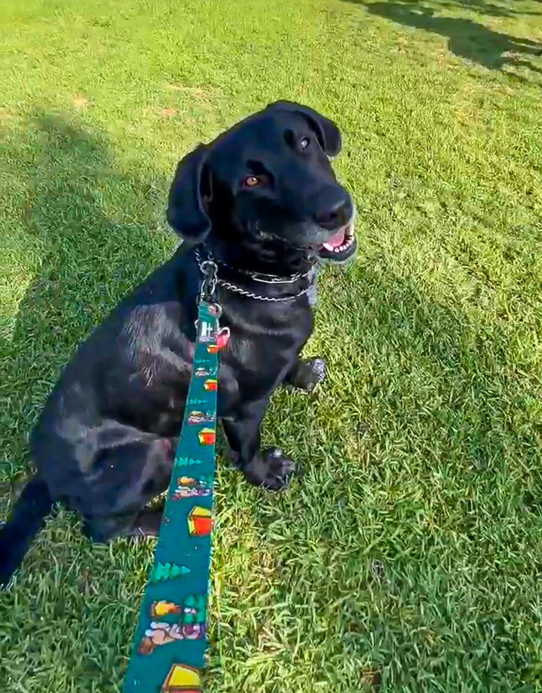 Huckleberry