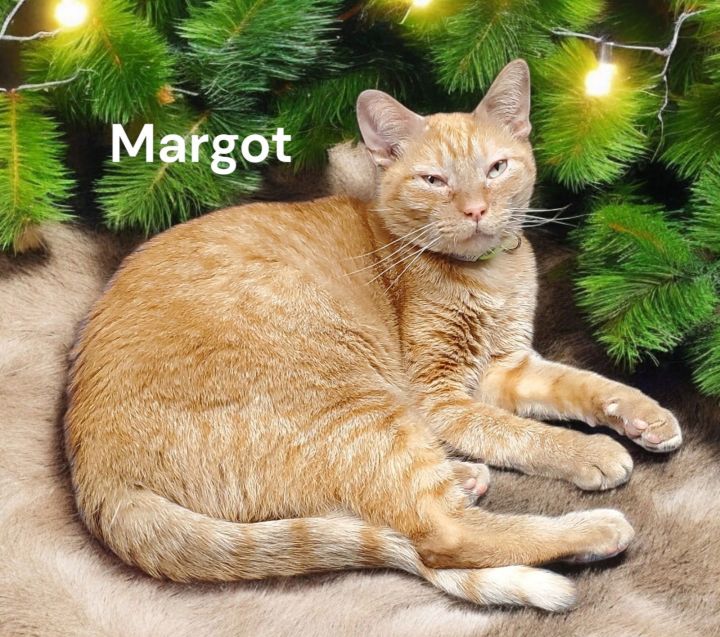 Margot 2