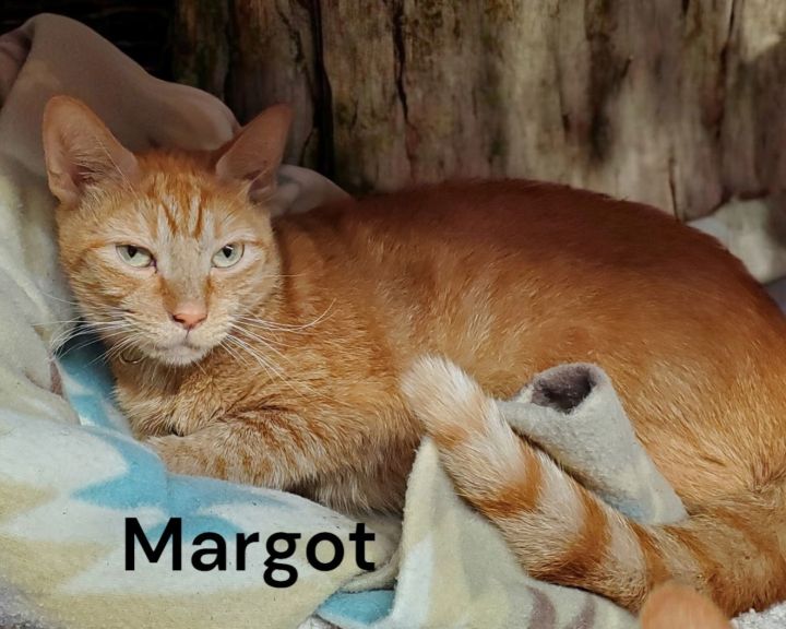 Margot 3