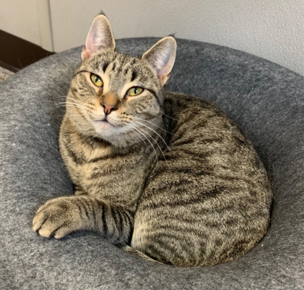 Duncan