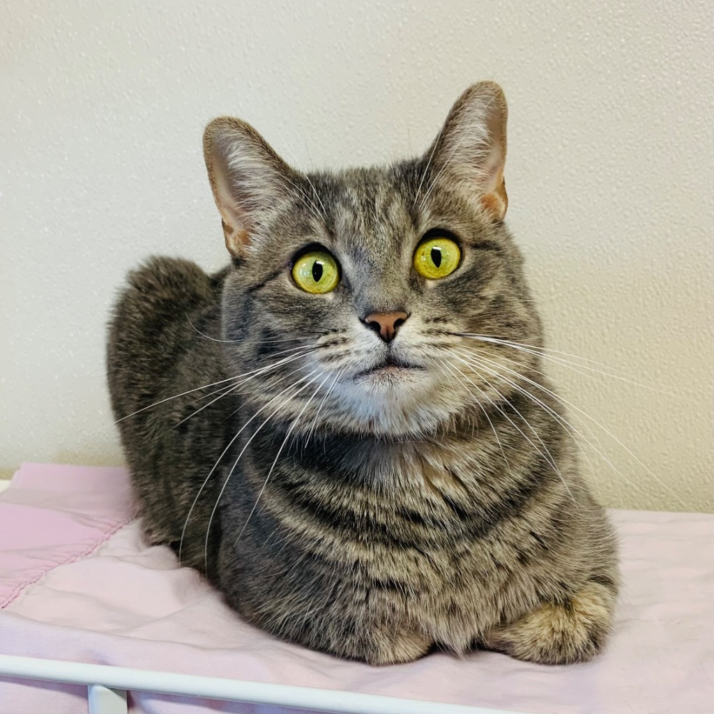 Nadia