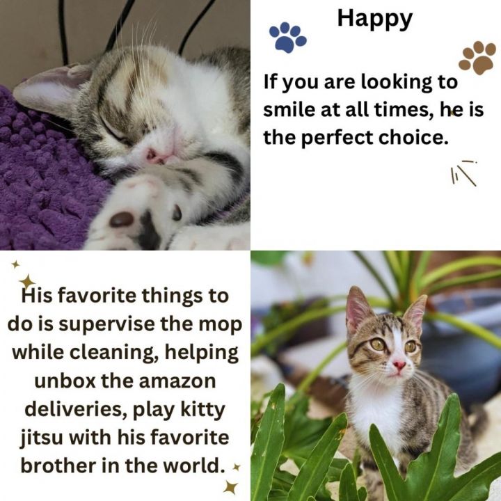 Happy 2