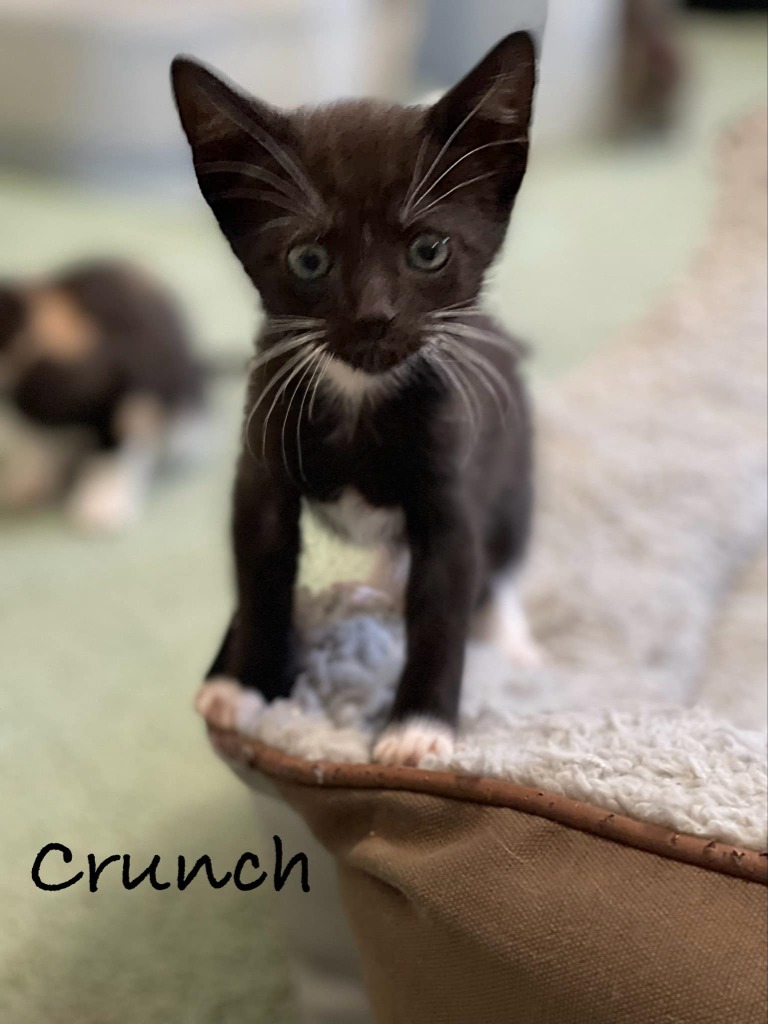 Crunch