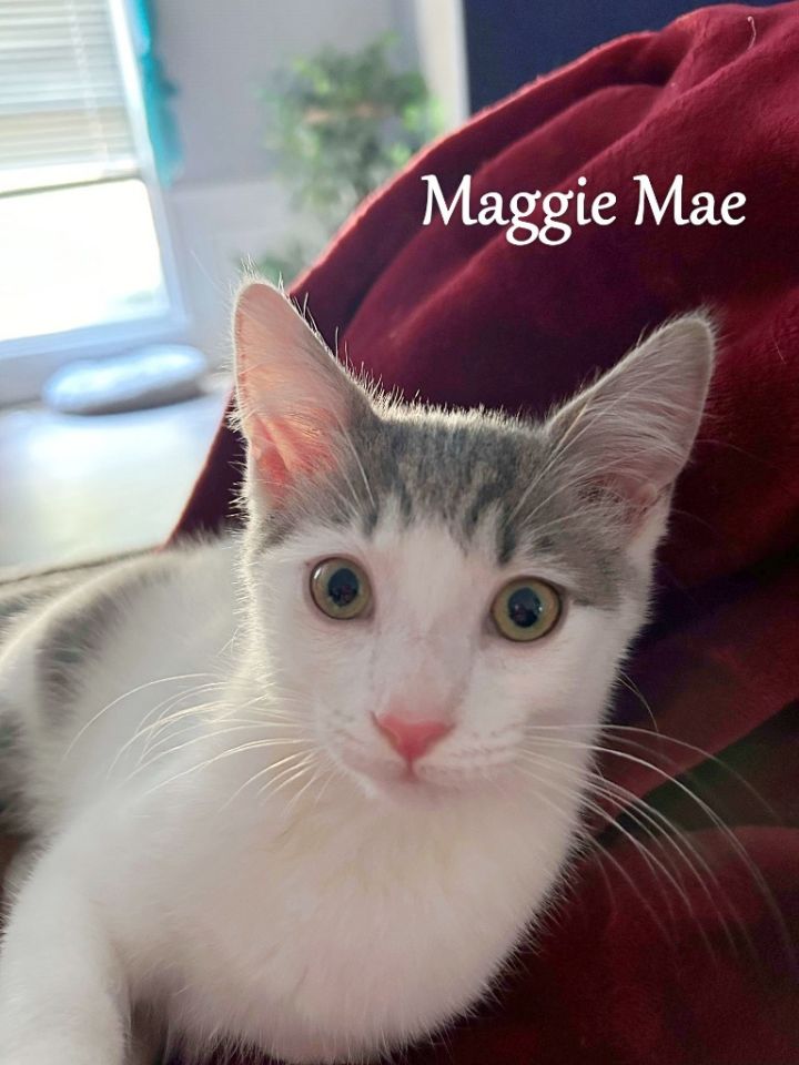 Maggie Mae 6