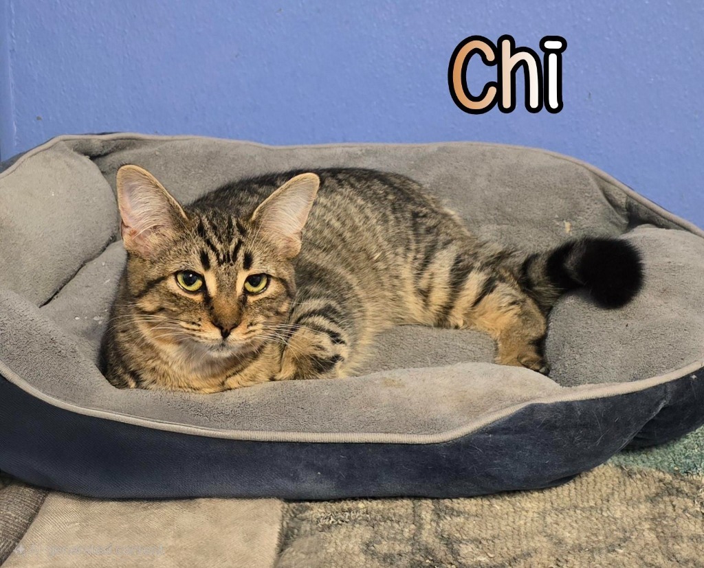 Chi