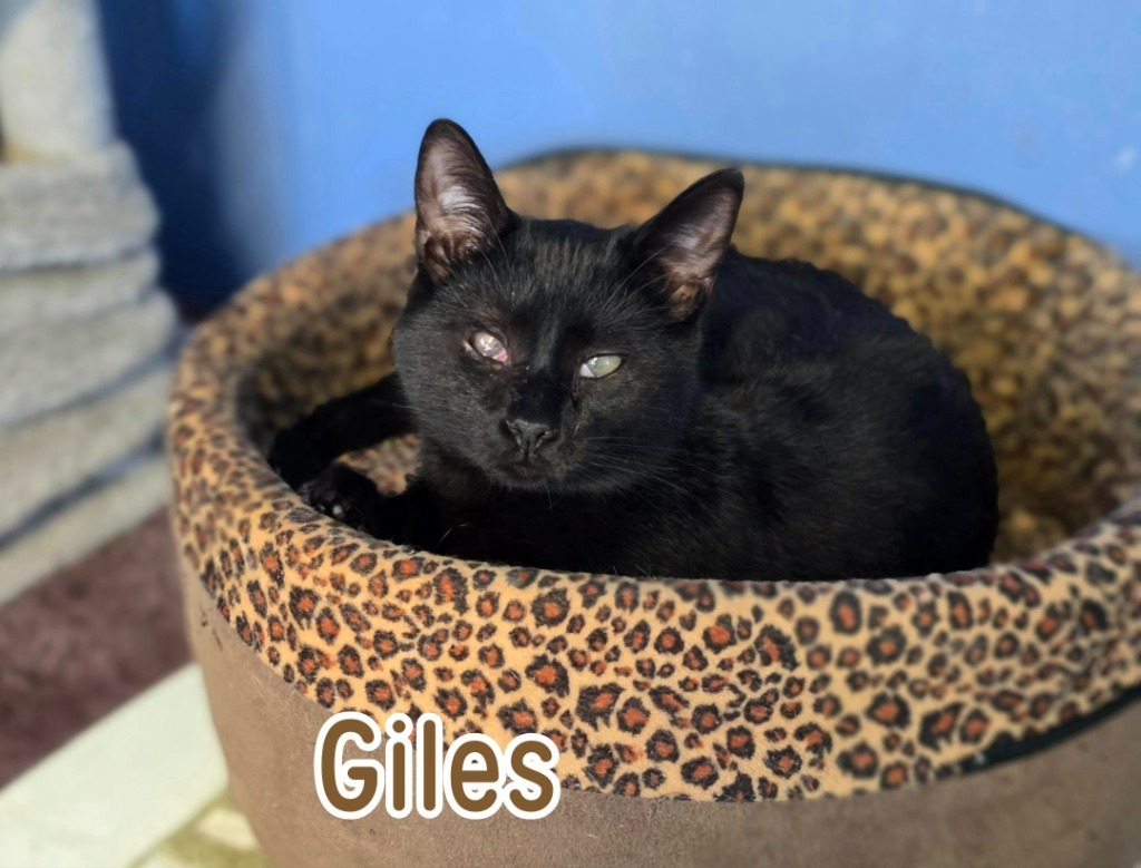 Giles