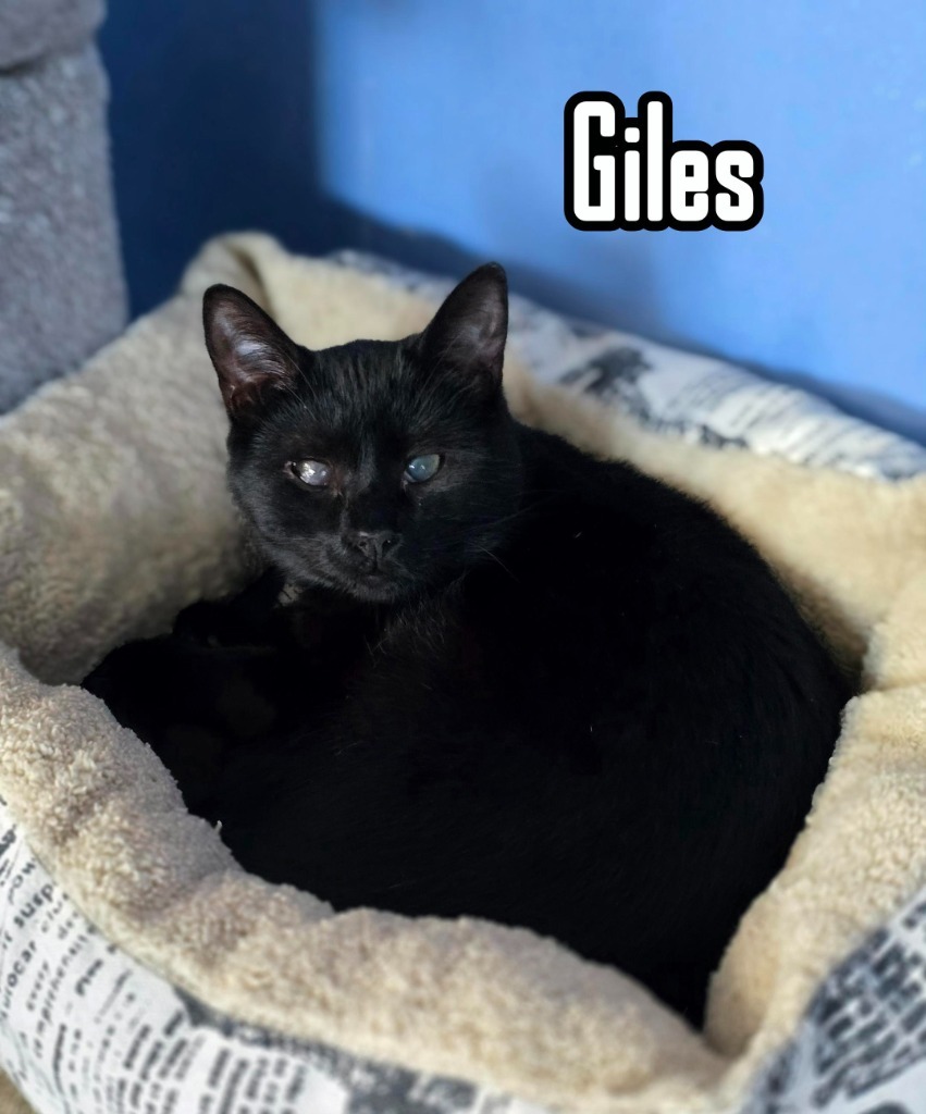 Giles