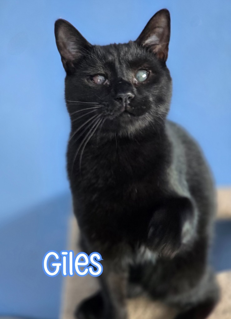 Giles