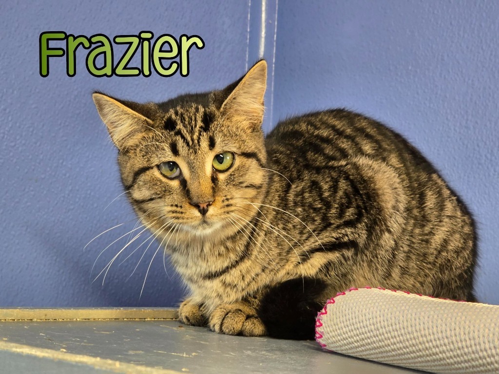 Frazier