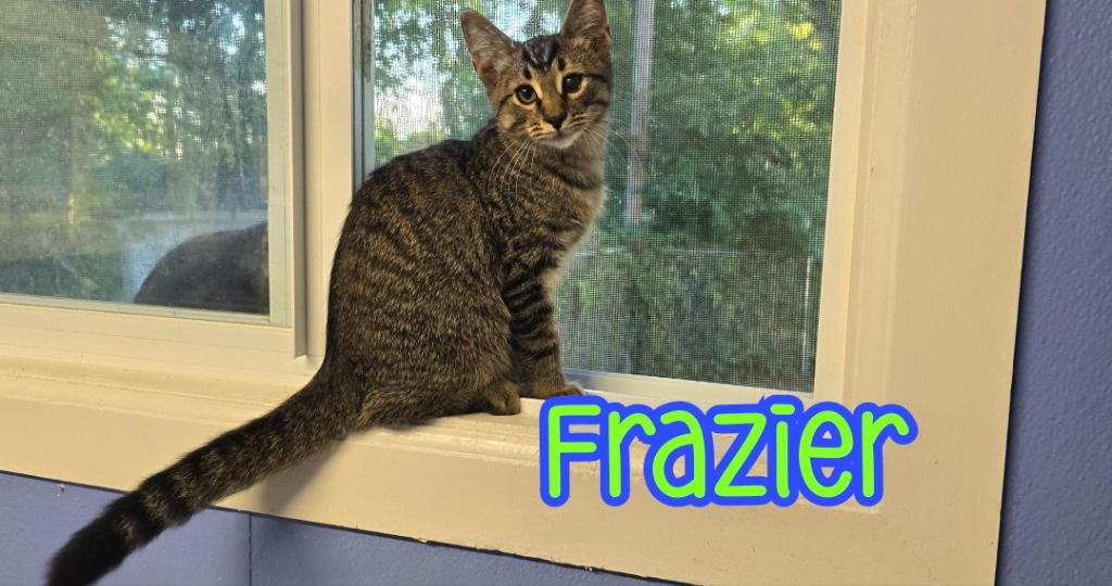 Frazier