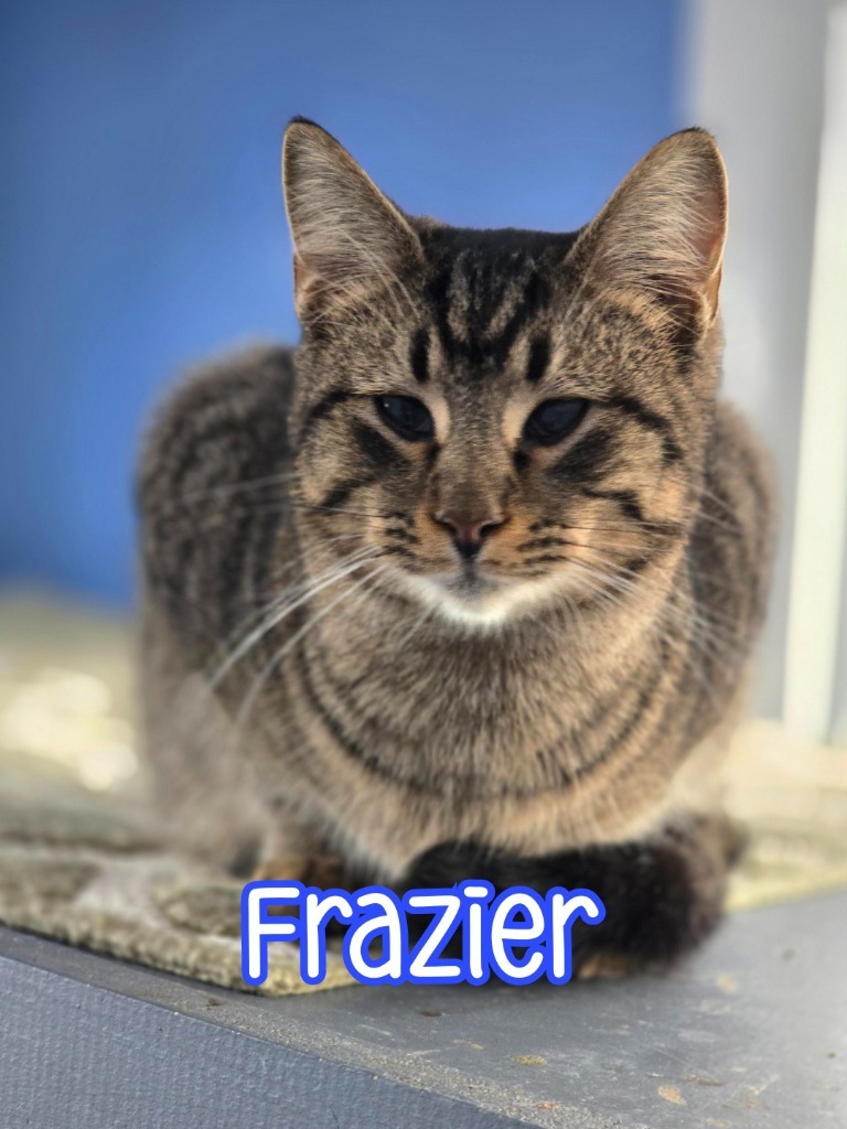 Frazier