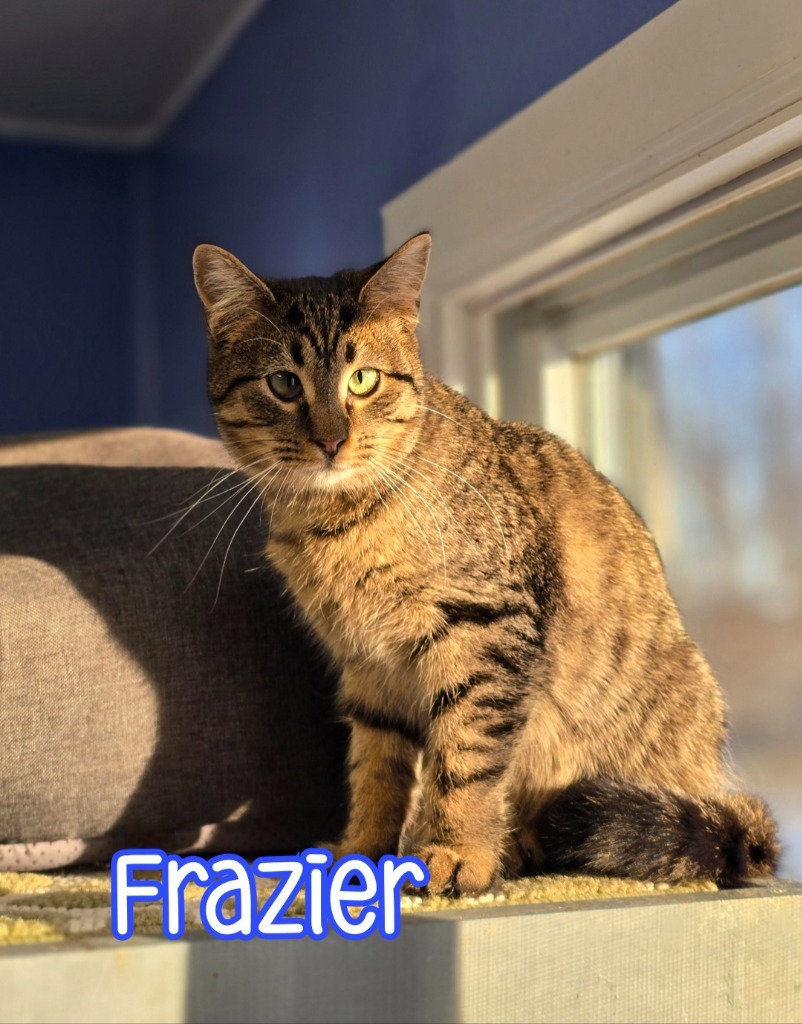 Frazier