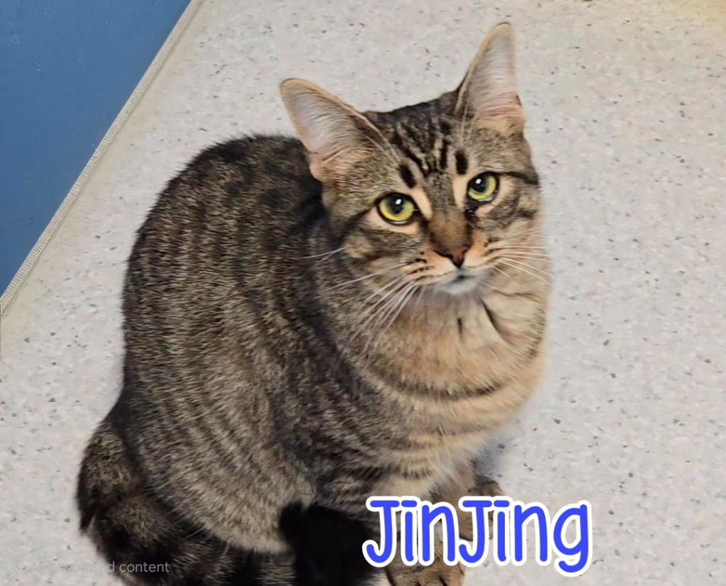 JinJing