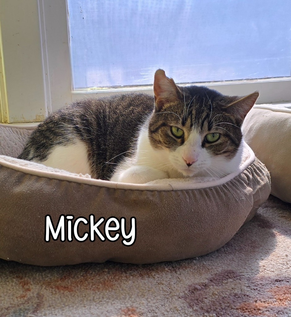 Mickey