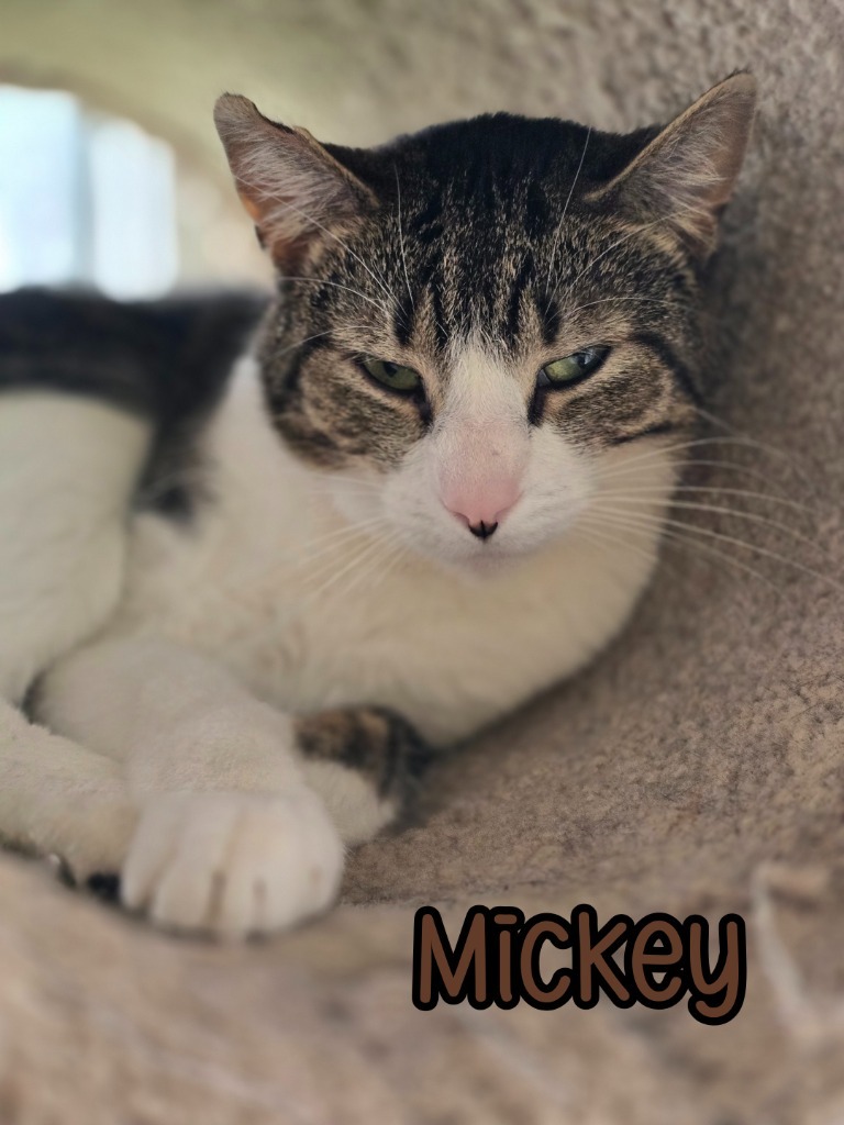 Mickey