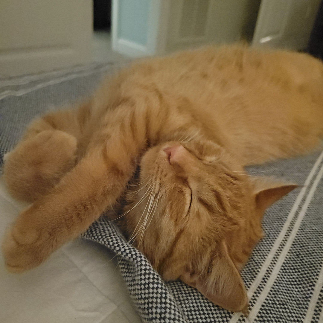 Pumpkin