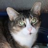 Clawdia photo 1