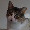 Clawdia photo 3