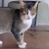 Clawdia photo 4