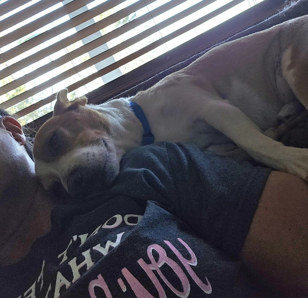 Howie ~