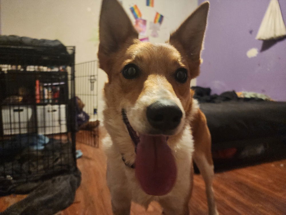 Gus (NKA Zero)