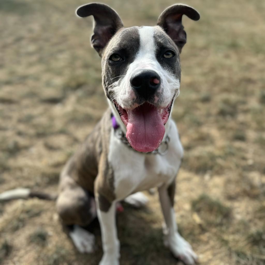 Oscar