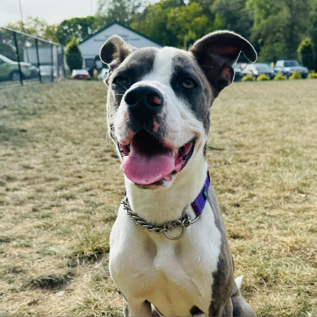 Oscar