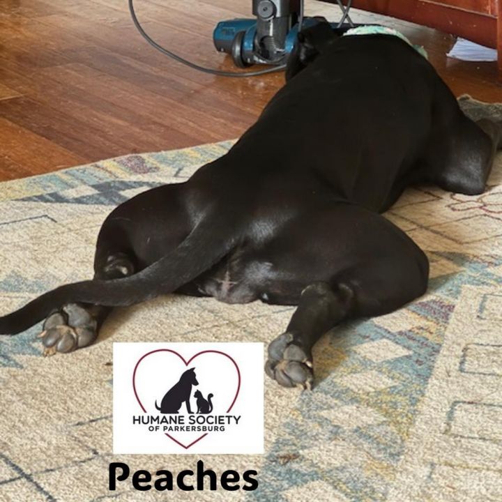 Peaches 2