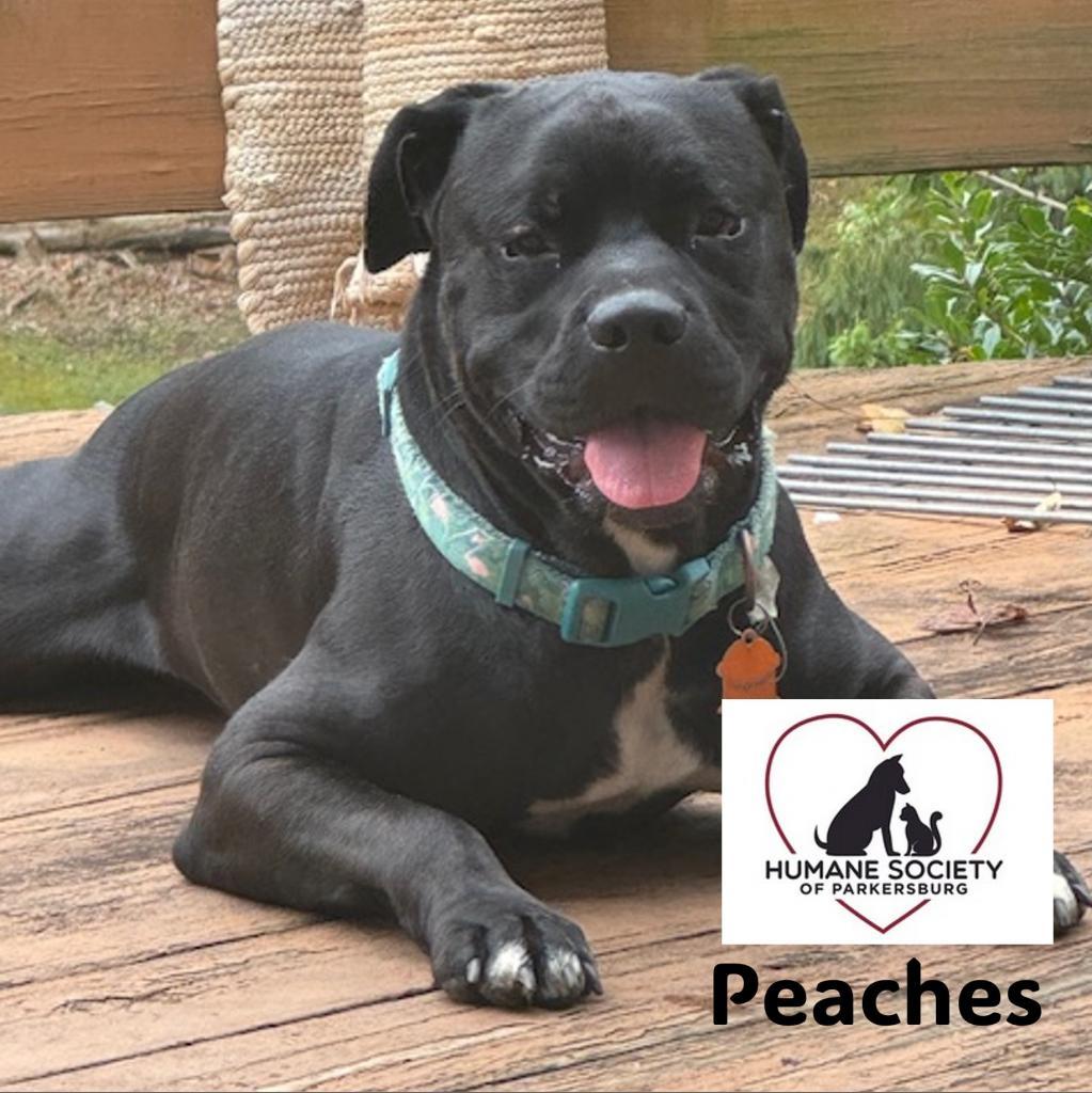 Peaches