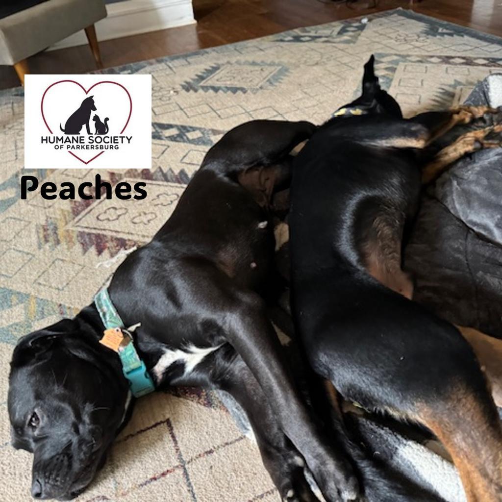 Peaches