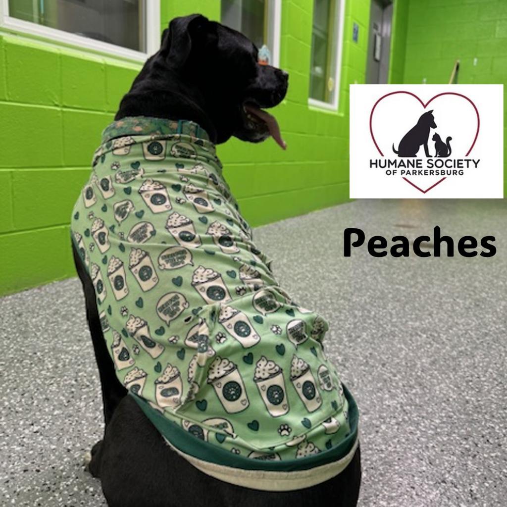 Peaches