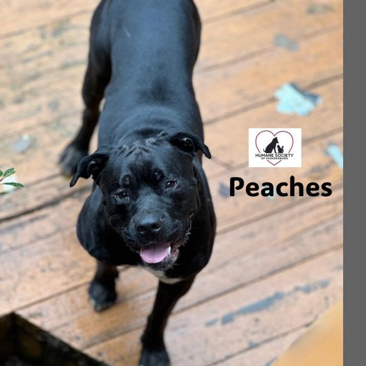 Peaches 6