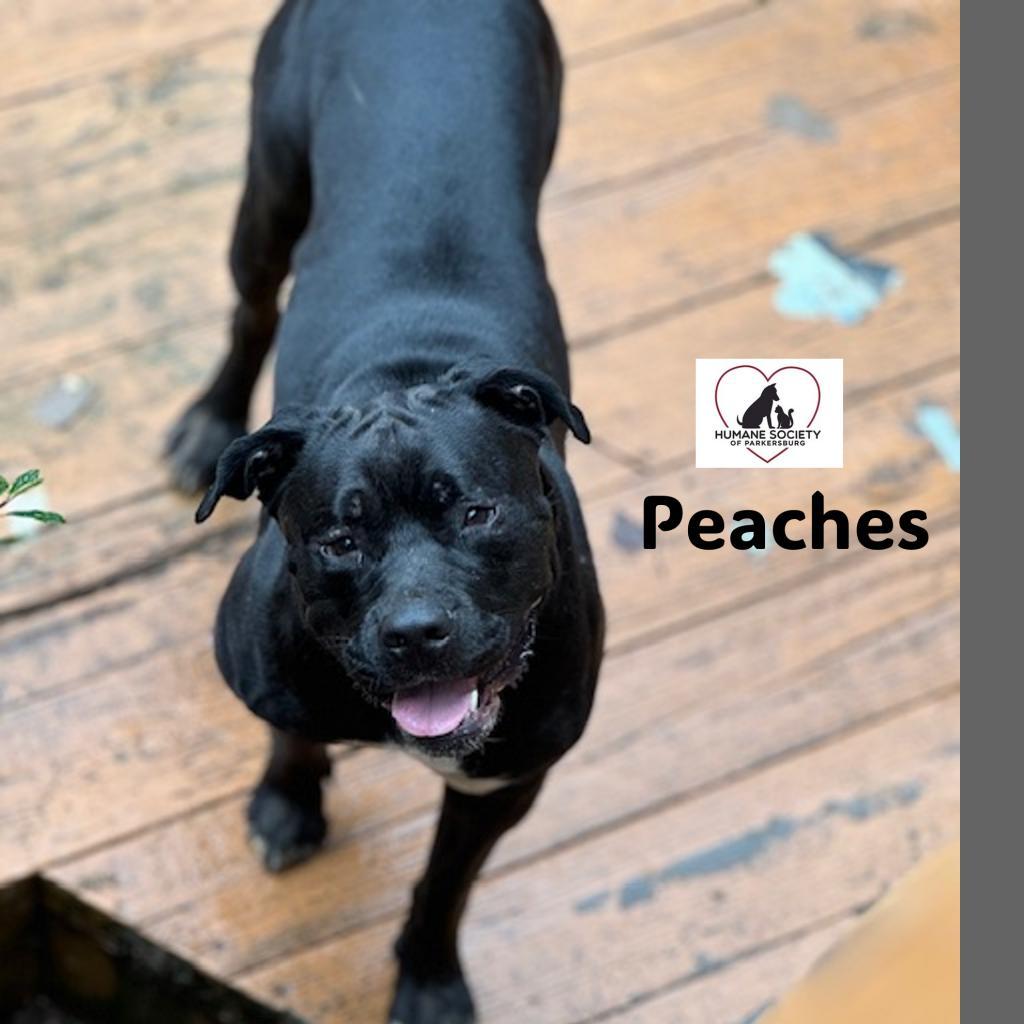 Peaches