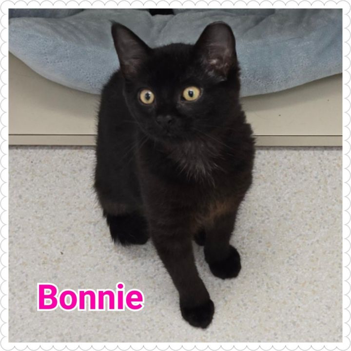 Bonnie 5