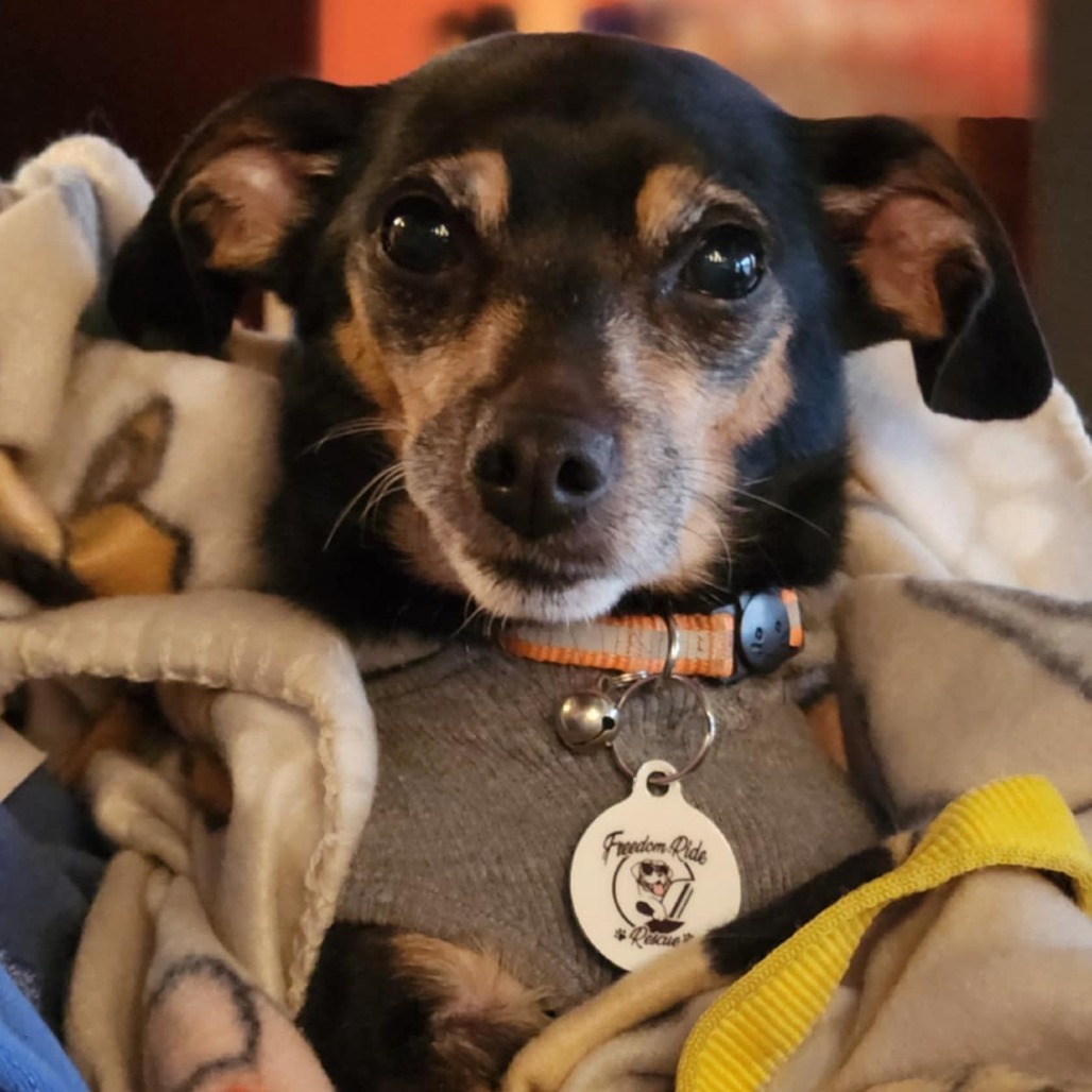Peggy