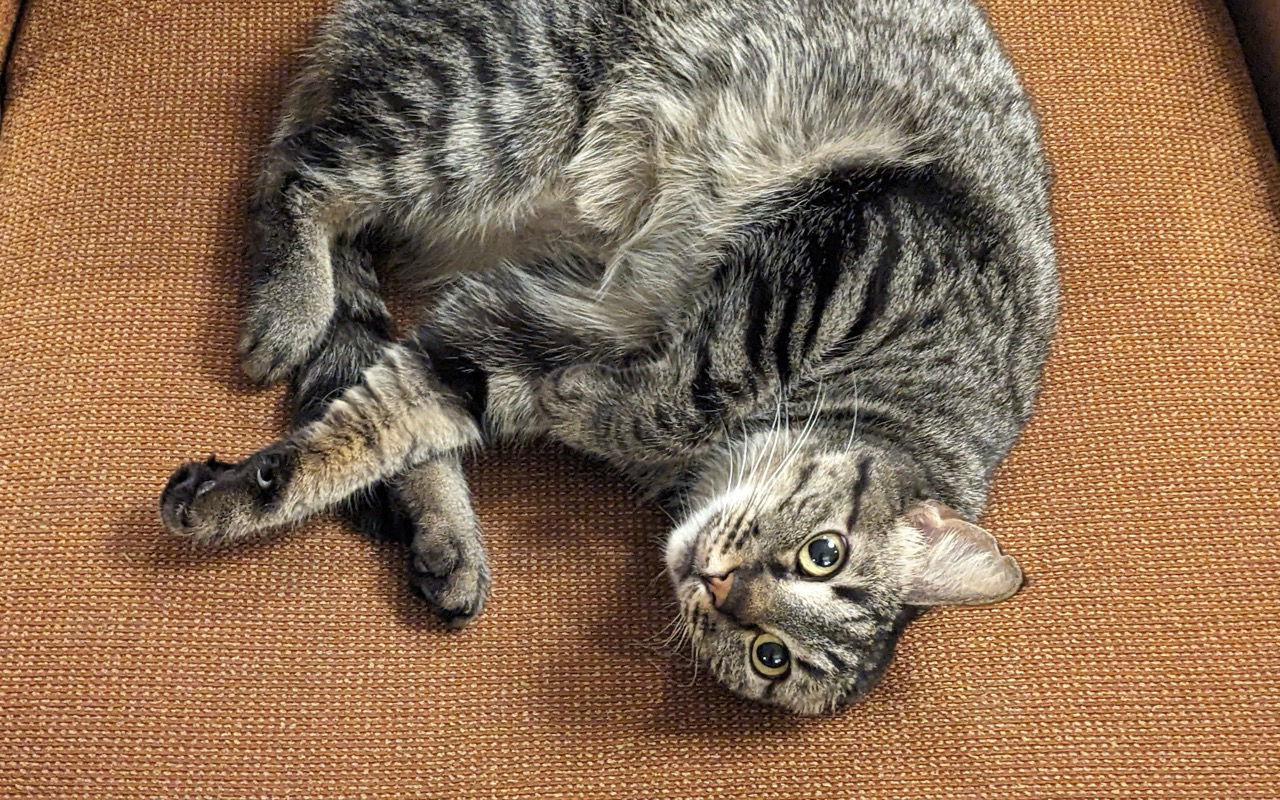 Peach (bonded with Wario)