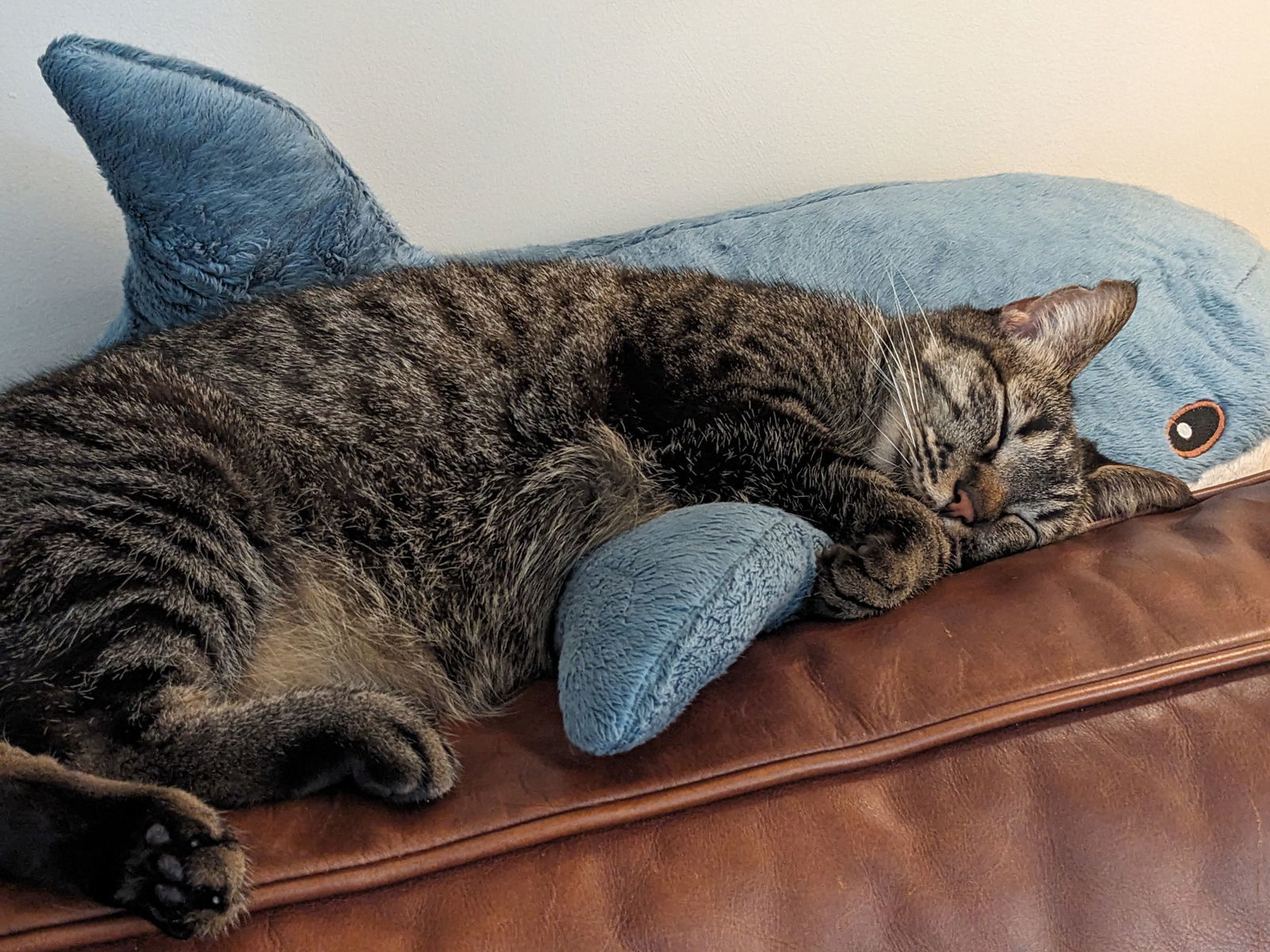 Peach (bonded with Wario)