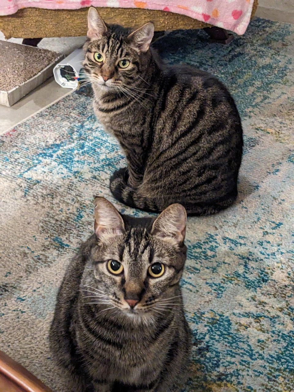 Peach (bonded with Wario)