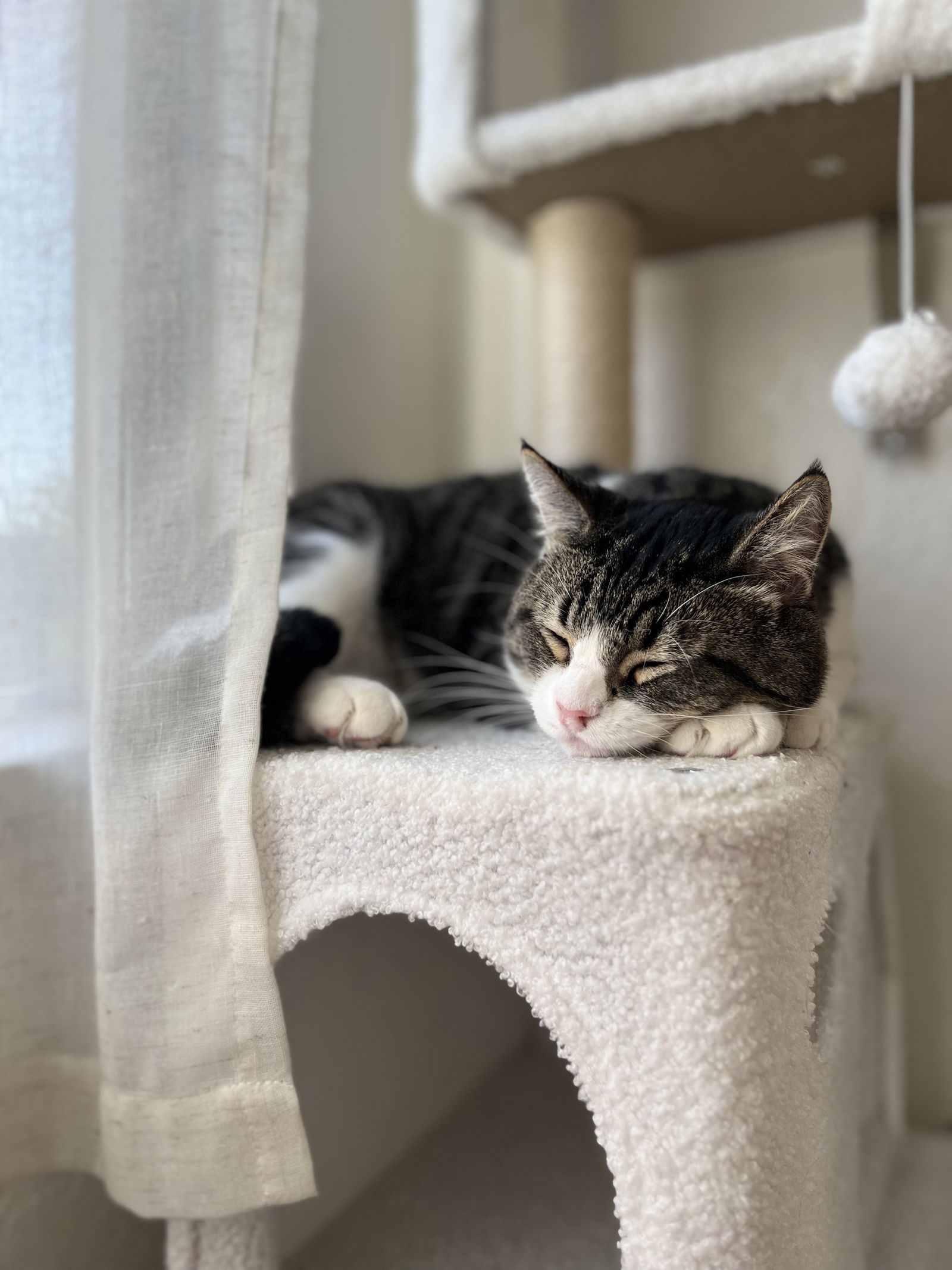 Mars (bonded with Pluto)