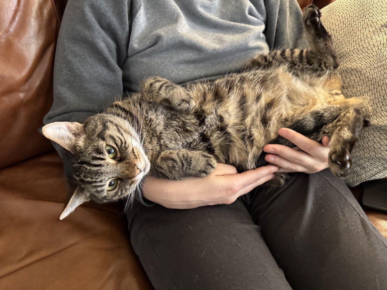 Wario (bonded with Peach)