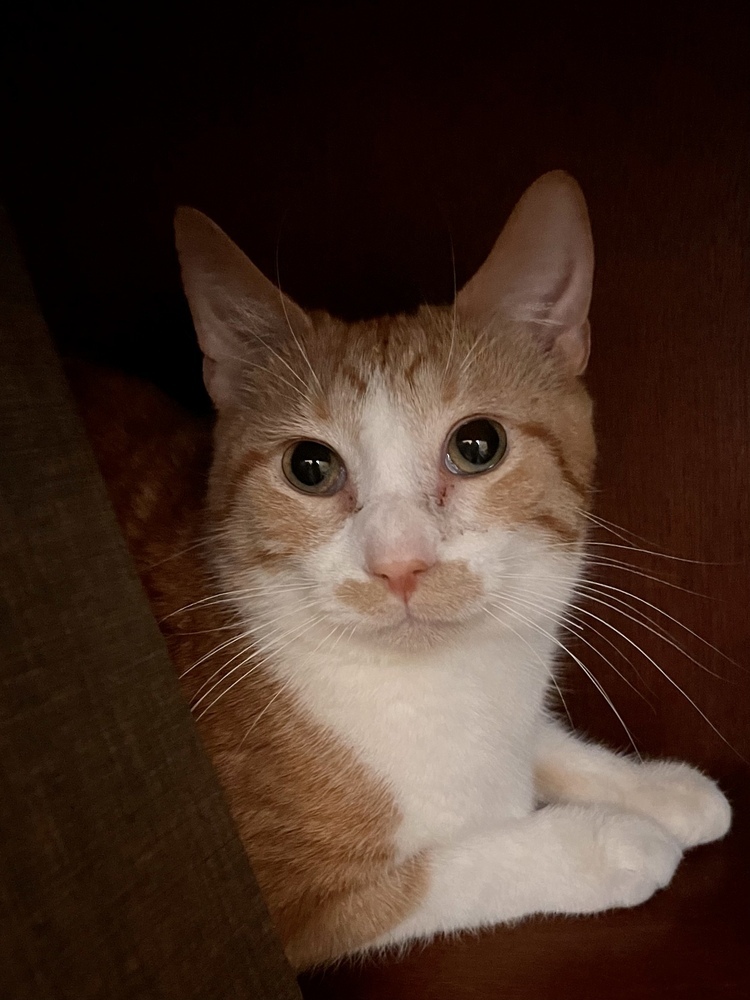 Timothy