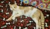 Tigger photo 2