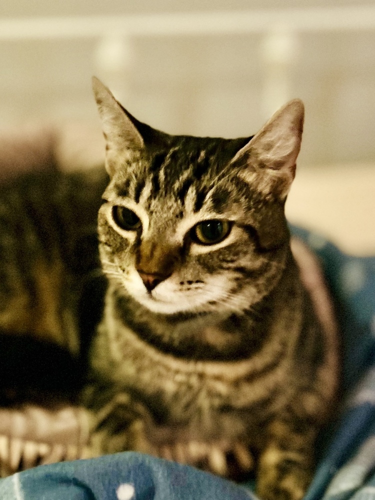 Yuki