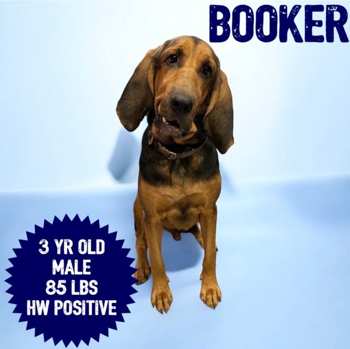 Booker 1