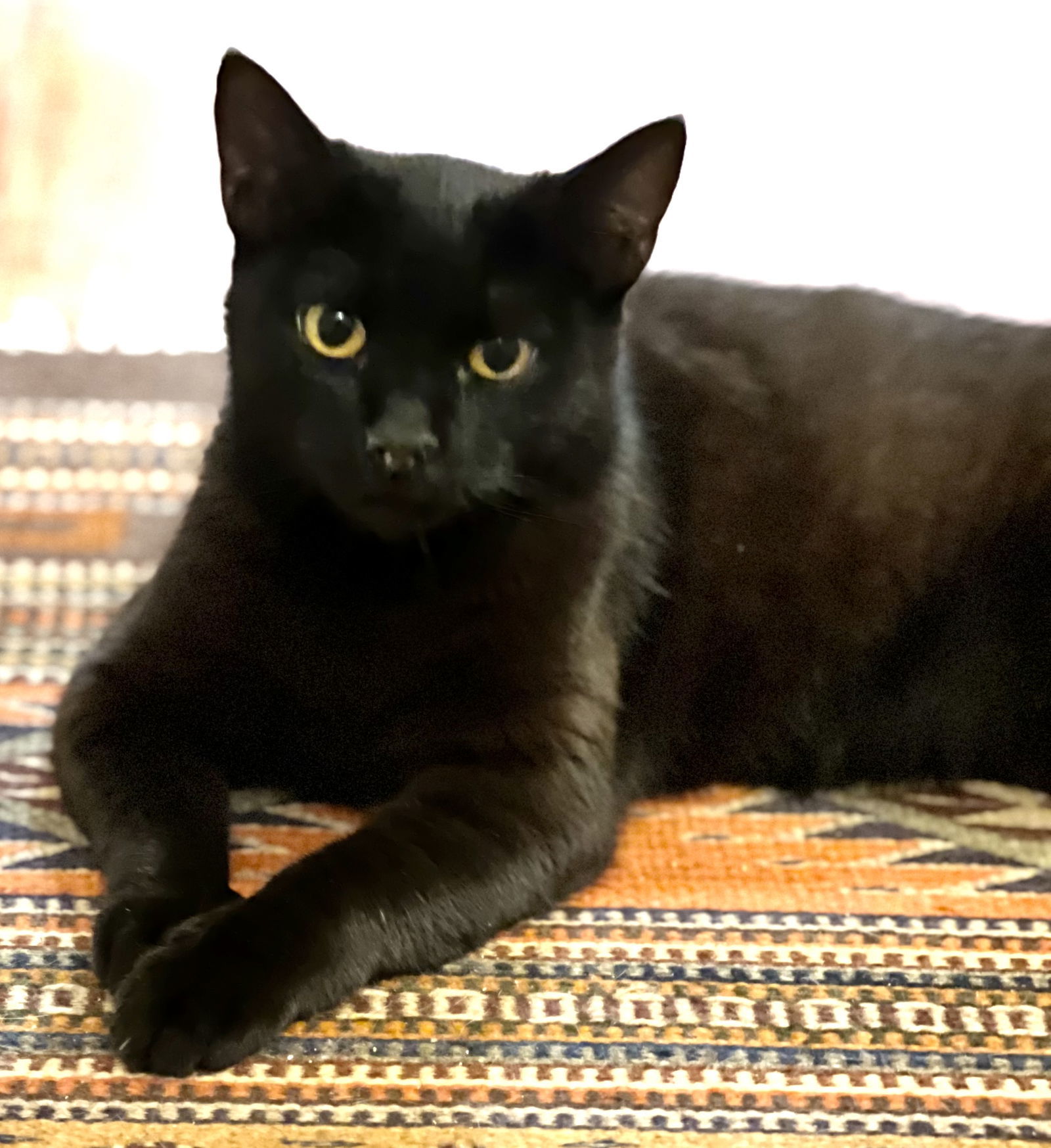 Josie